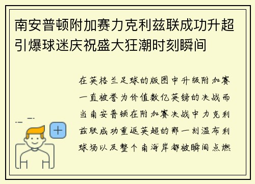 南安普顿附加赛力克利兹联成功升超引爆球迷庆祝盛大狂潮时刻瞬间